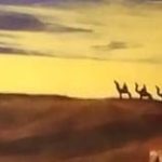 Lire la suite à propos de l’article D&rsquo;Atacama au Sahara