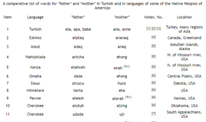 Lire la suite à propos de l’article TURKISH LANGUAGE AND THE NATIVE AMERICANS