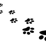 Lire la suite à propos de l’article L&rsquo;ours chamane