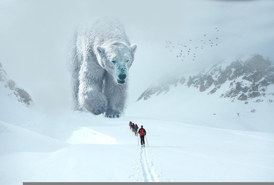 You are currently viewing L&rsquo;été des Sauvages