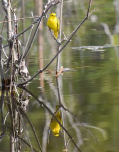 Lire la suite à propos de l’article À la croisée des chemins